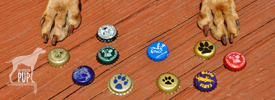 Cheers to Dog-Inspired Beers!