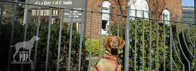 A Synagogue’s Moving Story