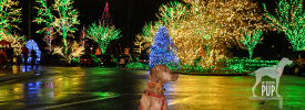 National Howl-iday Scene: Part III