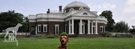 Monticello, Dogs, and the 4th of July