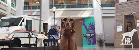 Not All Dogs Chase Mail Carriers