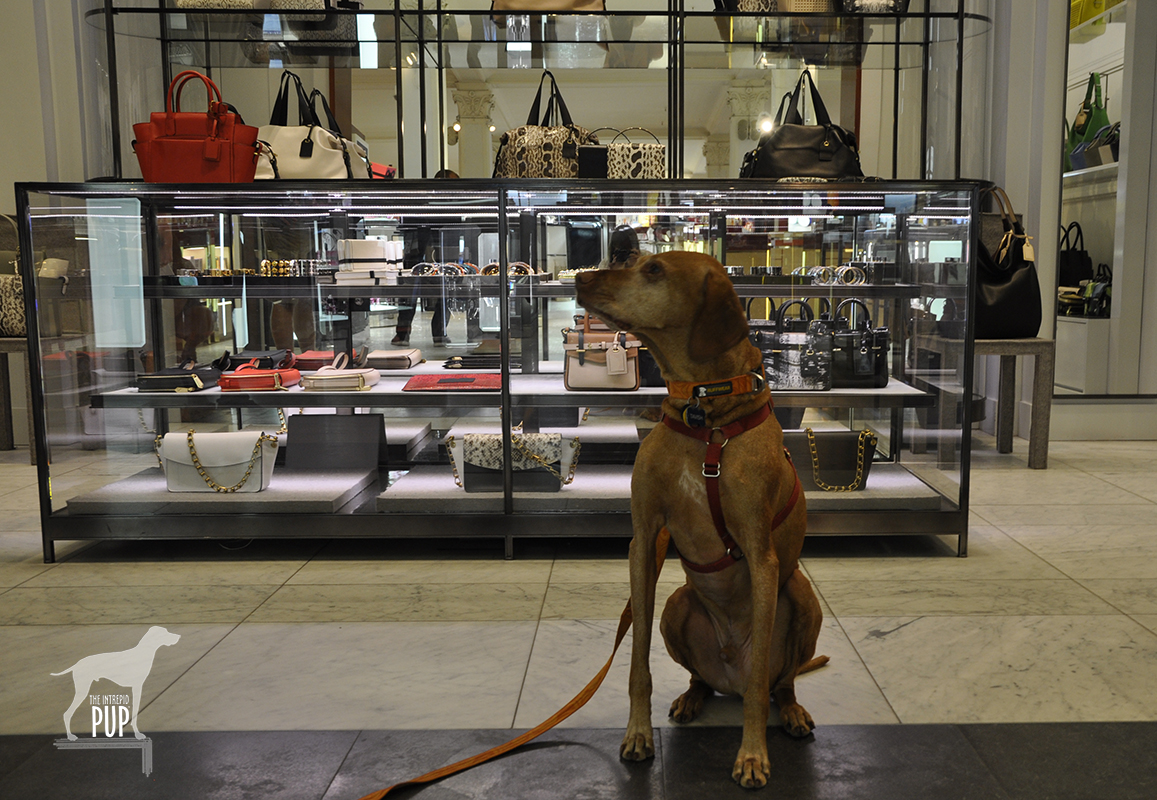 Retail Hound