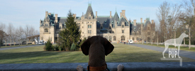 The National Howl-iday Scene, Part V: The Biltmore