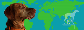 Around the “World” with Tavish