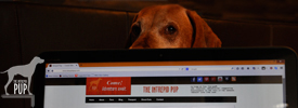 The Writer’s Blog Tour
